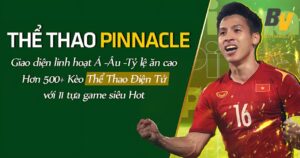 pinnacle thể thao